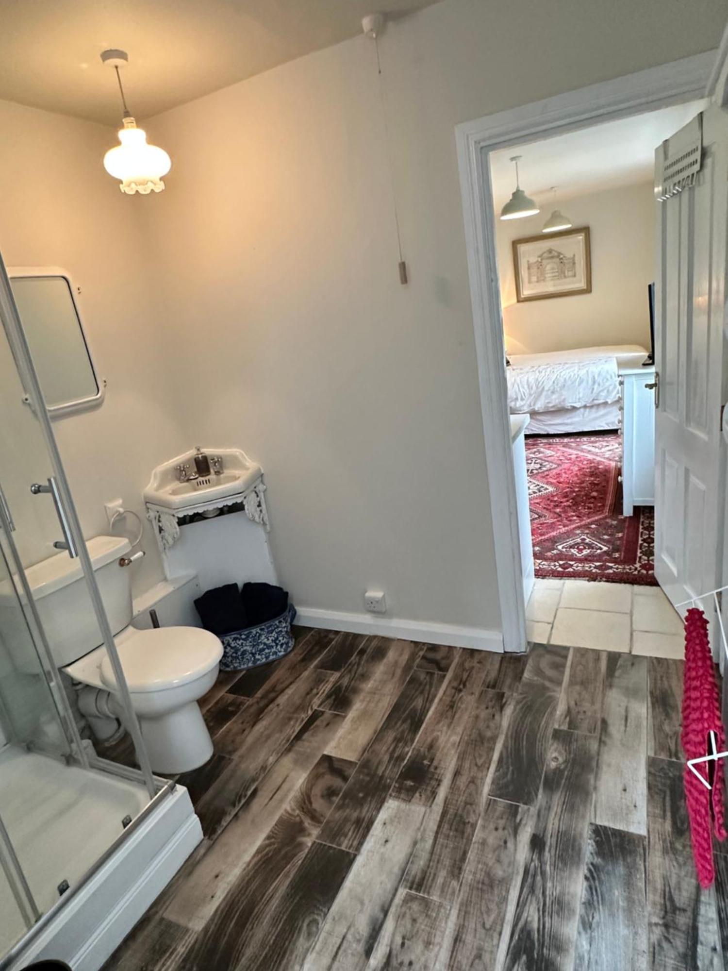 Garden Snug Apartment Belfast Bagian luar foto