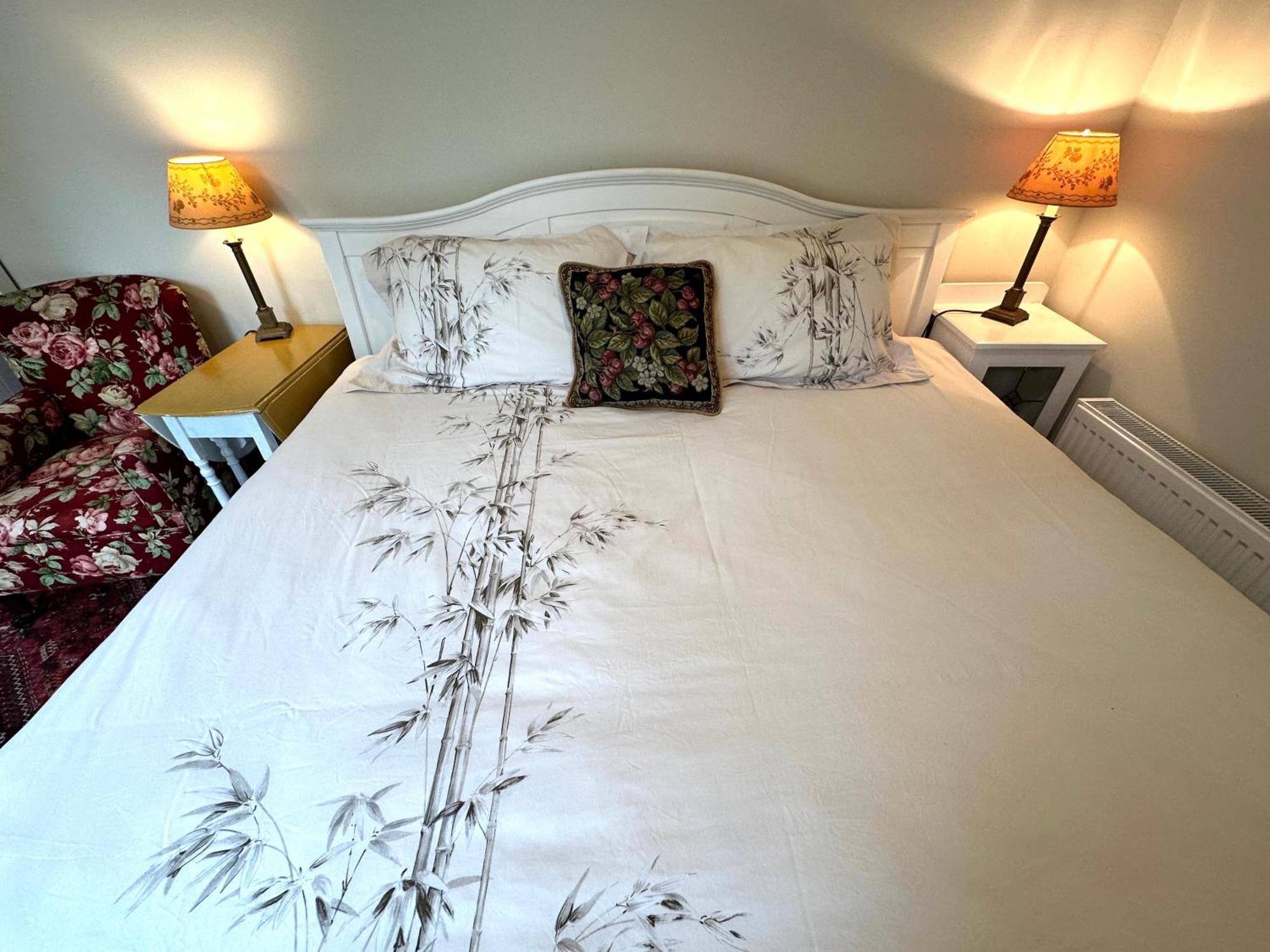 Garden Snug Apartment Belfast Bagian luar foto